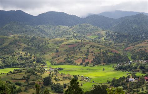 Monsoon forests: the tropics’ little-known lands of extremes