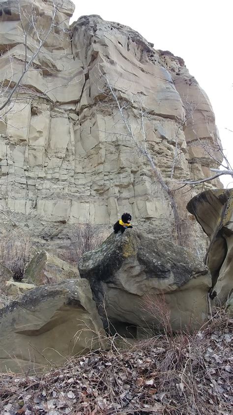 Pompeys Pillar National Monument (U.S. National Park Service)