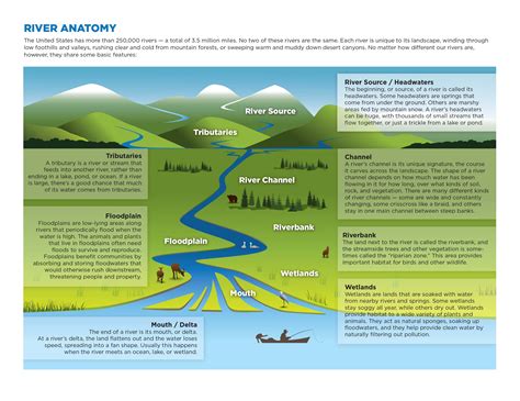 Parts Of A Rivers