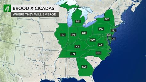 2021 cicada map: These 15 states are most likely to see Brood X cicadas invasion soon ...