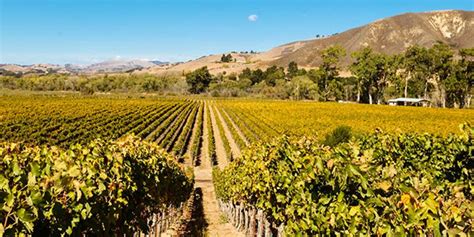 Santa Barbara Wine Tours - SantaBarbara.com