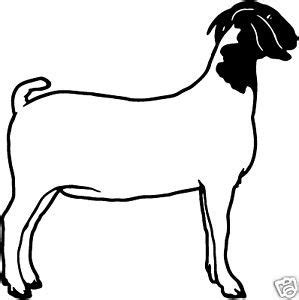 BOER Goat 4 Decals Farm Animal Window Stickers 6" | Boer goats, Show goats, Showing livestock