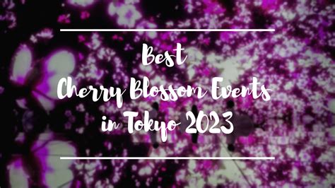 Best Cherry Blossom Events in Tokyo 2023 - Japan Web Magazine