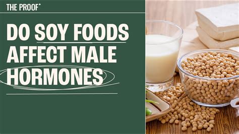 Does Soy Milk Affect Estrogen Levels at Timothy Gerrish blog