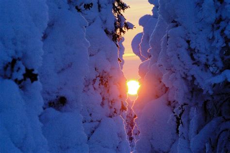 Lapland Tours and Trips for Families - Nordic Cruises | Your Northern ...