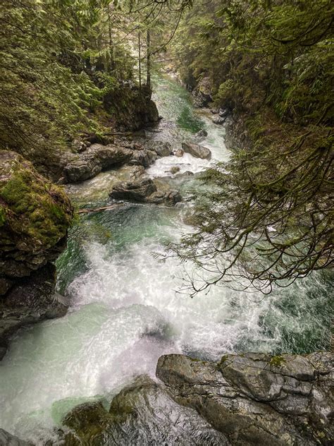 Guide to Lynn Canyon Suspension Bridge - Maddie Deer