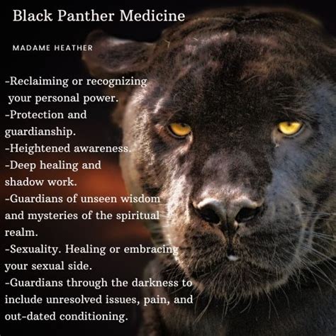 Black Panther Spirit Animal | Black jaguar animal, Spirit animal, Animal symbolism