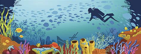 Reef Clip Art, Vector Images & Illustrations - iStock