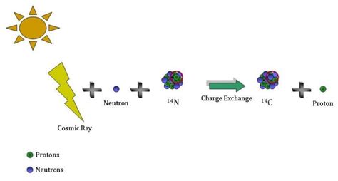 What Is The Process Of Carbon 14 Dating - Global Monitoring Laboratory ...