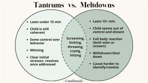 Tantrum vs Meltdown: Difference, Why They Happen, + When To Worry