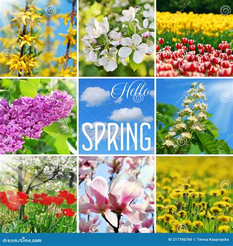 Spring Collage With First Green Leaves, Grass And White Flowers Of ...