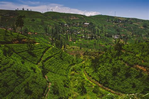 Photos: World’s Most Scenic Train Routes // Sri Lanka – Erica Camille