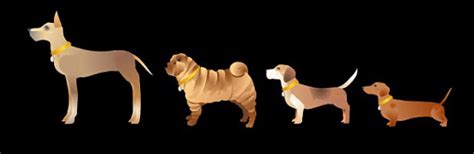 Puppymoji: Let This Dog Emoji Keyboard Diversify Your Texts With Speci