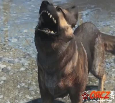 Fallout 4: Dogmeat - Orcz.com, The Video Games Wiki