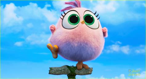 'Angry Birds 2' Debuts Adorable Hatchlings Clip - Watch Here! | Photo 1250152 - Photo Gallery ...