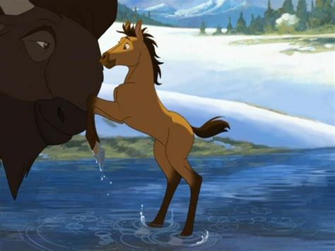 Spirit. Stallion of the Cimarron. (Disney) (Dreamworks) | Spirit the ...