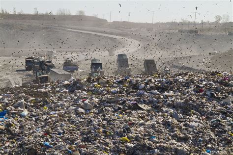 Dump Trucks and Landfill | lizsnyder