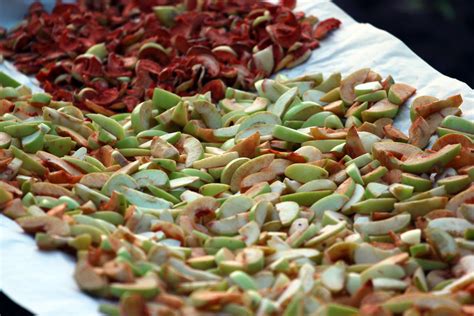 10 Steps to Sun-Drying Fruits and Vegetables the Old-School Way