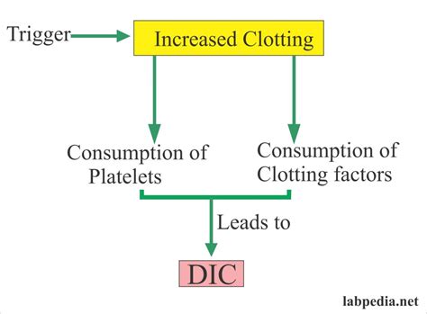 Fibrinogen Degradation products (FDP) or Fibrin split products (FSP), and d-Dimer – Labpedia.net