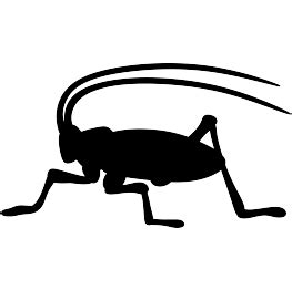 Insect Silhouettes | Silhouette clip art, Animal silhouette, Silhouette