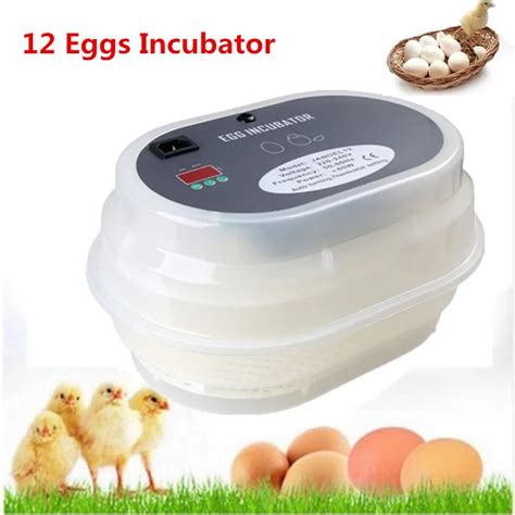 Poultry Auto Hatcher Machine 12 Eggs Chicken Incubator Chicken Hatching Equipment Tool Eggs ...