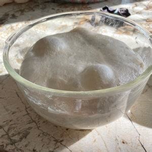 Whole Wheat Sourdough Starter 32 Grams - Etsy