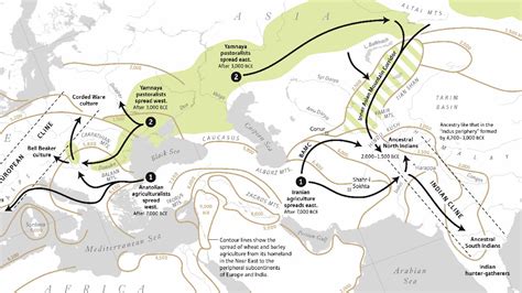 Aryan migration: Scientists use DNA to explain origins of ancient Indians — Quartz India