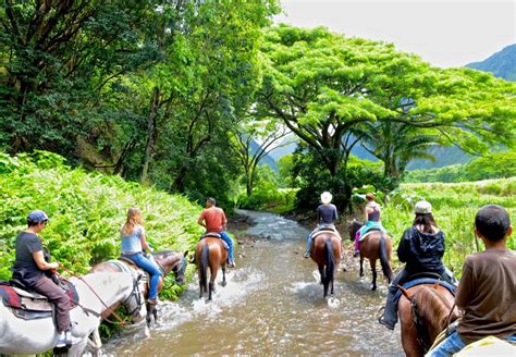 All Horseback Riding Tours on the Big Island, compared (2024)