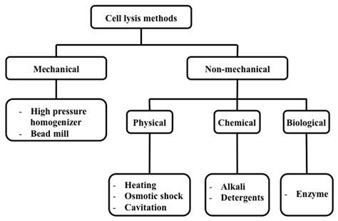 Micromachines | Free Full-Text | A Review on Macroscale and Microscale Cell Lysis Methods | HTML