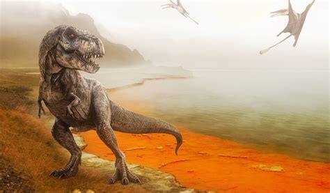 Dinosaurs Lived on a Scorching Planet, So Why Can’t Humans? – The Wire ...