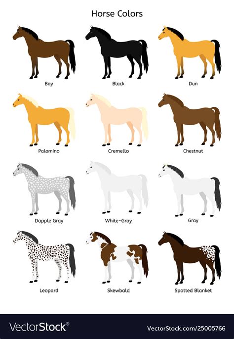 Flat collection set horse colors Royalty Free Vector Image