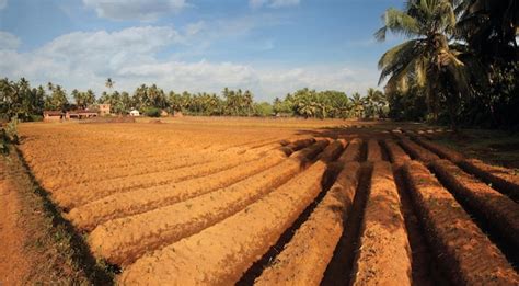 Premium Photo | India agricultural landscapes farmland cultivated by ...