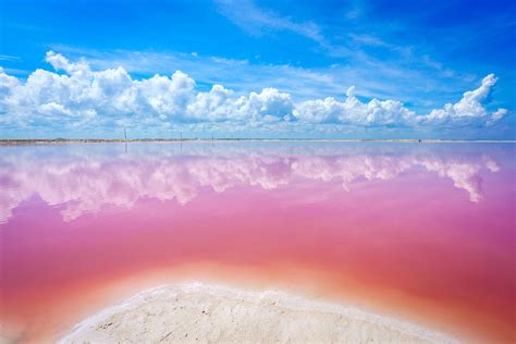 Las Coloradas: Visiting Mexico's Amazing Pink Lakes!