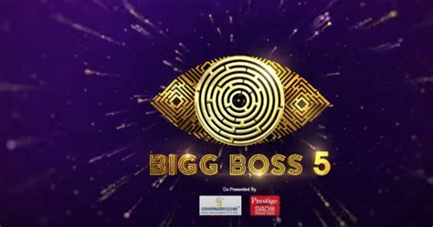 Bigg Boss Season 5 - Visual Identity