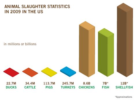 59 Billion Land and Sea Animals Killed for Food in the US in 2009