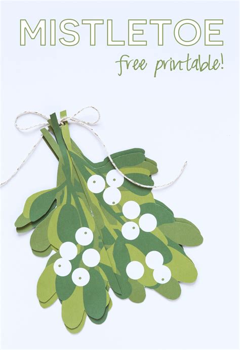 Make an Easy Mistletoe Ball - Paging Supermom