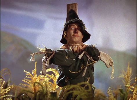 Wizard of Oz Scarecrow which way Blank Template - Imgflip