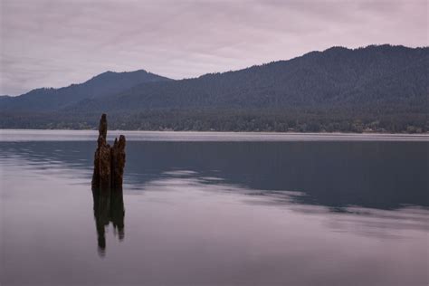 The Chinook Indian Tribe calls for restoration of federal recognition