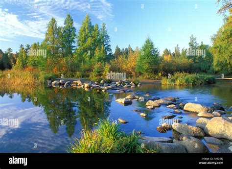 Mississippi River Source at Lake Itasca State Park Minnesota Stock ...