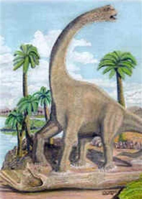 Ten of the Worlds Tallest Dinosaurs That Ever Lived