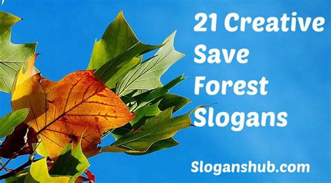 Save Forest Slogans Diy Computer Case, Forest Conservation, Online Campaign, Awareness Campaign ...