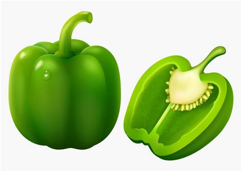 Free Green Pepper Cliparts, Download Free Green Pepper Cliparts png images, Free ClipArts on ...