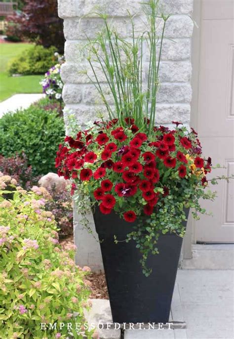 25 Planter Ideas for Porches and Front Gardens | Outdoor flower planters, Flower pots outdoor ...