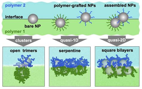 Polymer-nanoparticle composites | Biological & Soft Materials Modeling Lab