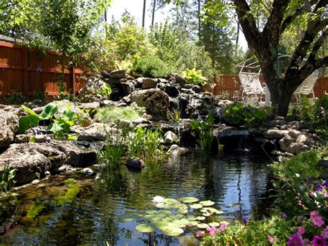 Amazing Backyard Pond Design Ideas | Large backyard landscaping, Ponds backyard, Backyard water ...