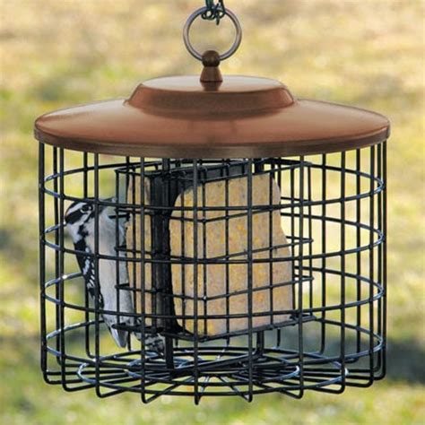 12 Tips for Squirrel-Proof Bird Feeders | Feeding Birds