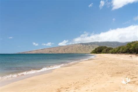 🏝 All 15 Kihei Beaches Explained: The Ultimate 2024 Guide ⋆ We Dream of Travel Blog