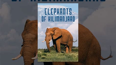 Elephants of Kilimanjaro - YouTube