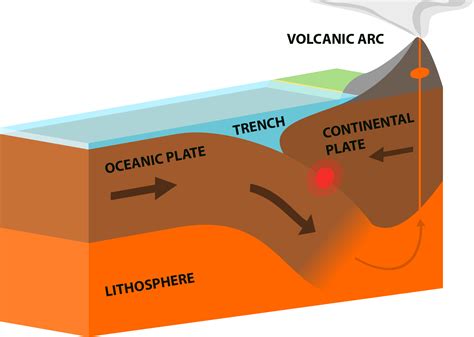 Continental Vs Oceanic Crust In 2021 Plate Tectonics - vrogue.co
