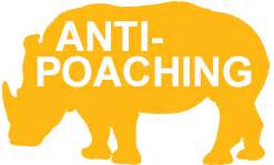 Organisations putting rhinos first this World Rhino Day - Africa Geographic